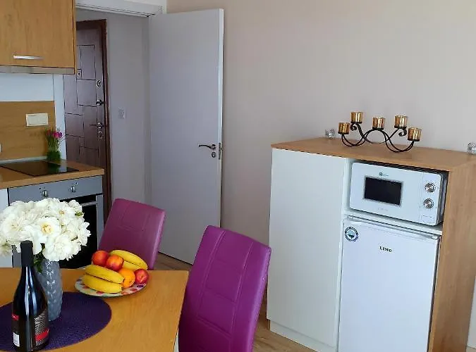 Old Sailor Apartment Obzor